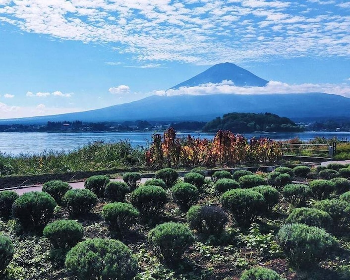 Picture 53 for Activity Tokyo: Mount Fuji and Lake Kawaguchi Scenic 1-Day Bus Tour