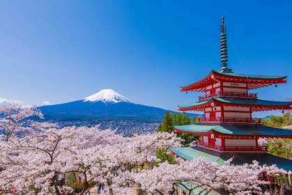 Tokyo: Endagstur med buss til Fuji-fjellet og Kawaguchi-sjøen i naturskjønn...