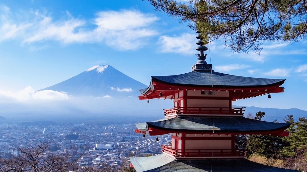 Picture 27 for Activity Tokyo: Mount Fuji and Lake Kawaguchi Scenic 1-Day Bus Tour