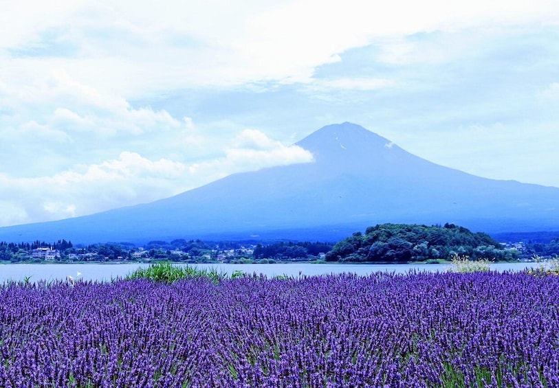 Tokyo: Mount Fuji and Lake Kawaguchi Scenic 1-Day Bus Tour