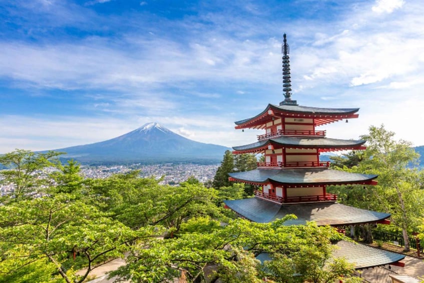 Picture 3 for Activity Tokyo: Mount Fuji and Lake Kawaguchi Scenic 1-Day Bus Tour