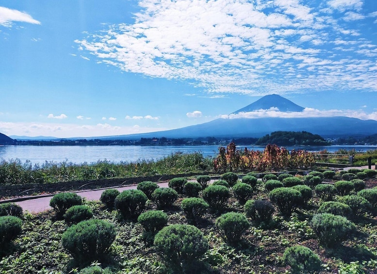 Picture 50 for Activity Tokyo: Mount Fuji and Lake Kawaguchi Scenic 1-Day Bus Tour