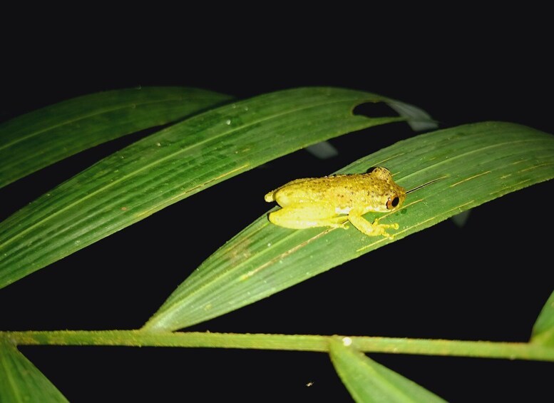 Picture 6 for Activity Full day in Natural Reserve in Peru