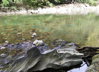 Medellin: Tour Avventura Rio Claro