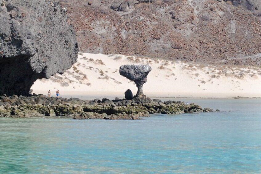 Espiritu Santo Island Tour