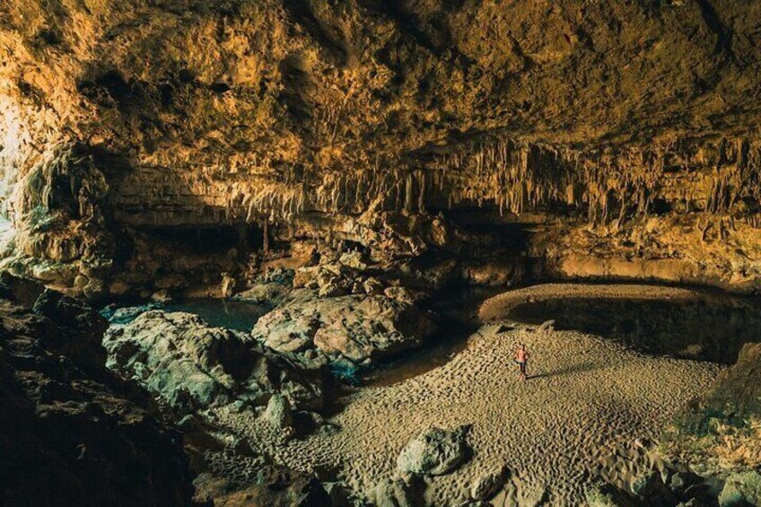 Caracol Mayan Ruins Rio On Pools and Rio Frio Cave Tour in Belize