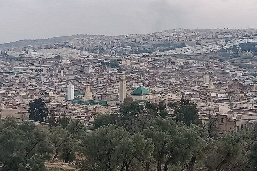 Private 6 Hour Walking Tour in Fez