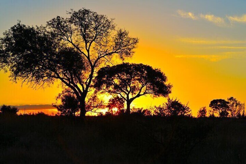 Private Full Day Kruger National Park Safari Tour from Hazyview