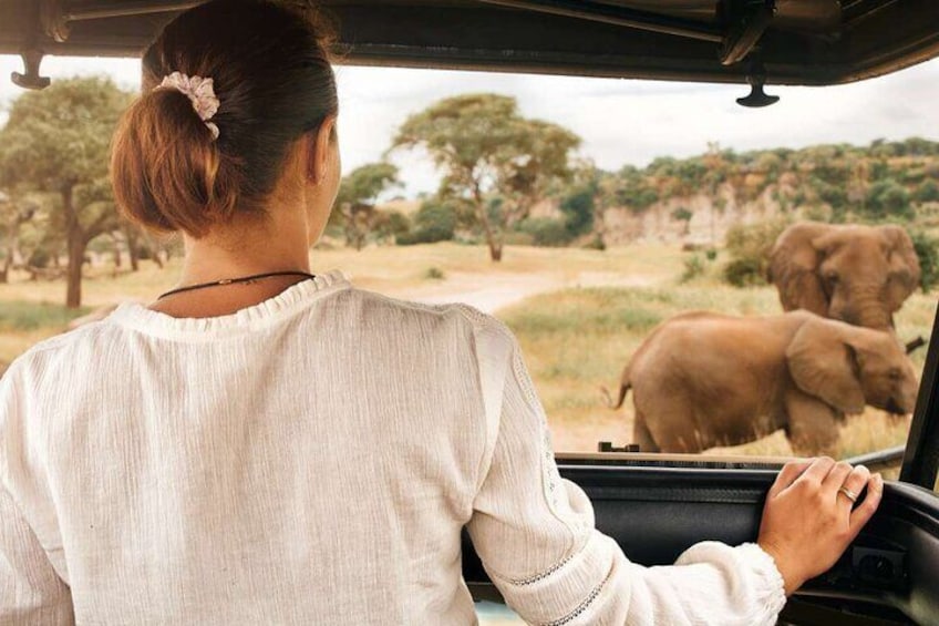 3-Hour Safari Tour in Pilanesberg National Park