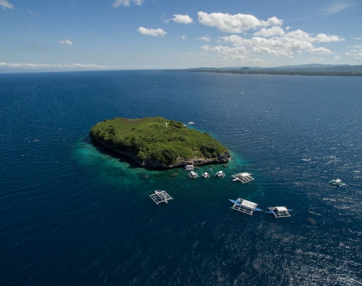Affordable Moalboal Pescador Island Snorkeling Tour