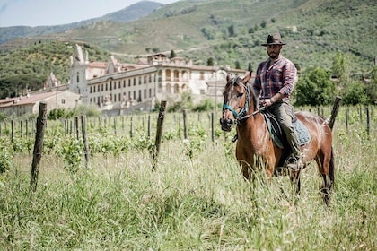 One hour horseback ride in Valgraziosa Pisa