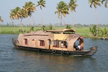 Aleppey House Boat Cruise, Cochin Excursions from Cruise Terminal