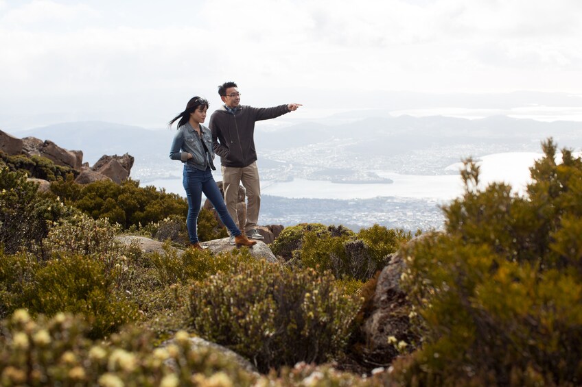 Mount Wellington with MONA Admission & Ferry by Gray Line