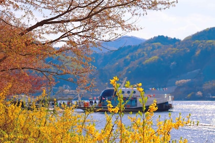 Seoul: Namiseom, Petite France och Morning Calms trädgård