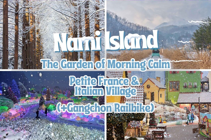 Seoul: Nami Island with Korea Garden & Petite France