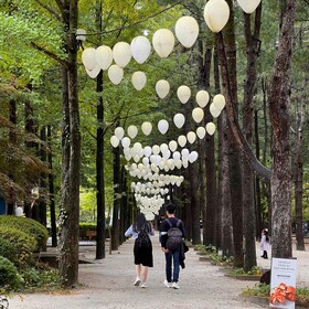 Seoul: Nami Island & Petite France with Optional Railbike