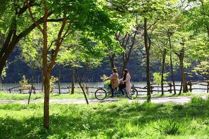 Seoul: Namiseom, Petite France, & Garden of Morning Calm