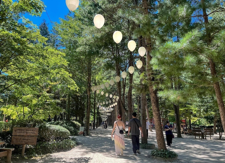Picture 19 for Activity Seoul: Nami Island with Garden & Petite France (+ Railbike)