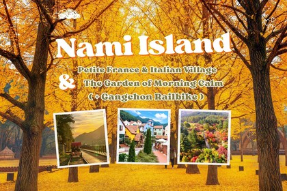 Seoul: Nami Island & Petite France mit optionalem Railbike