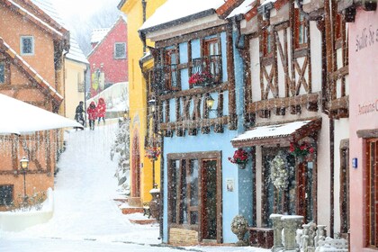 Seoul: Nami Island, Garden and Petite France (opt. Railbike)