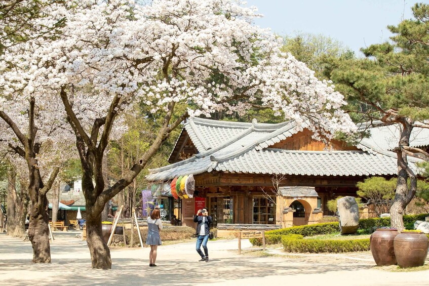 Picture 1 for Activity Seoul: Nami Island with Korea Garden & Petite France