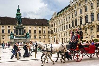 Vienna Private Full Day Tour with Tickets