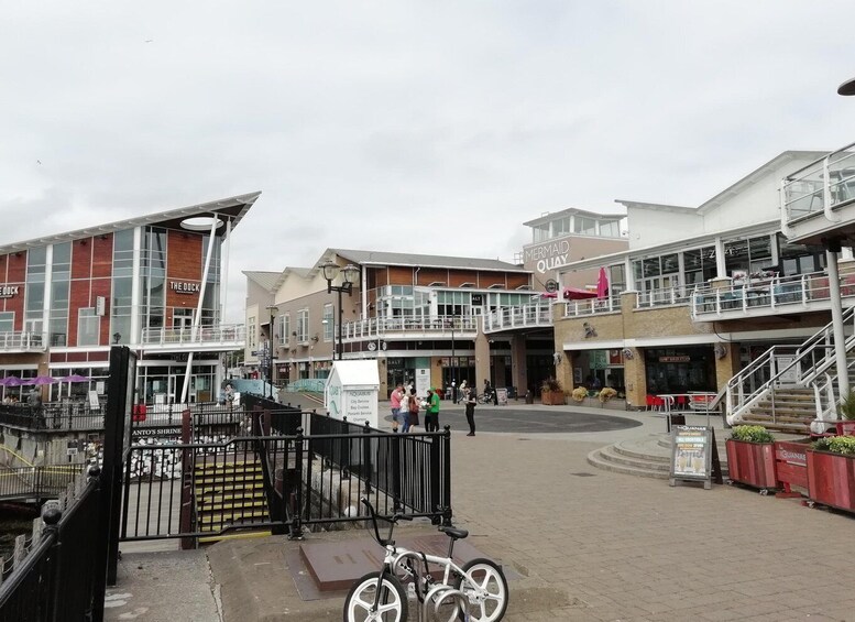 Picture 3 for Activity Cardiff Bay: Highlights Private Guided Tour