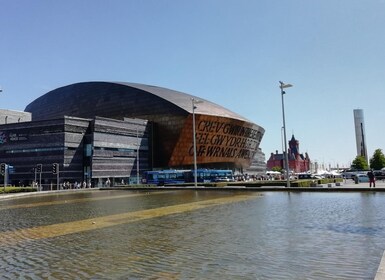 Cardiff Bay: Highlights Private Guided Tour