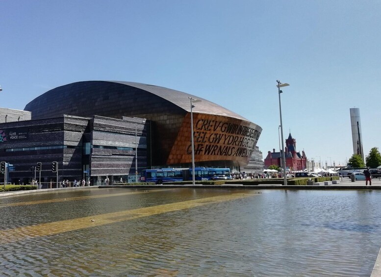 Cardiff Bay: Highlights Private Guided Tour