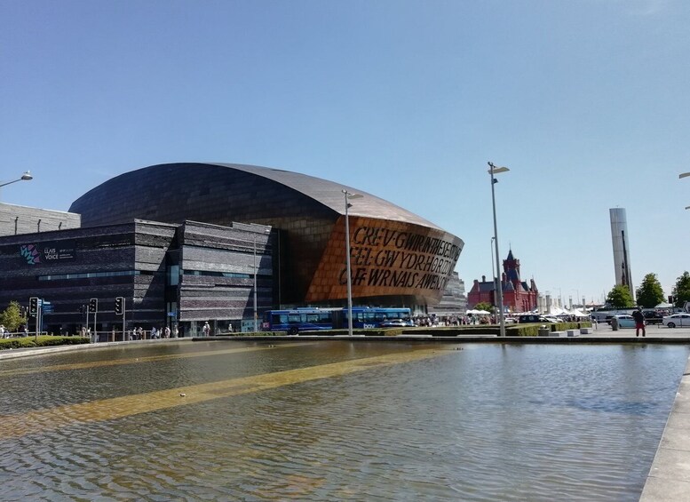 Cardiff Bay: Highlights Private Guided Tour