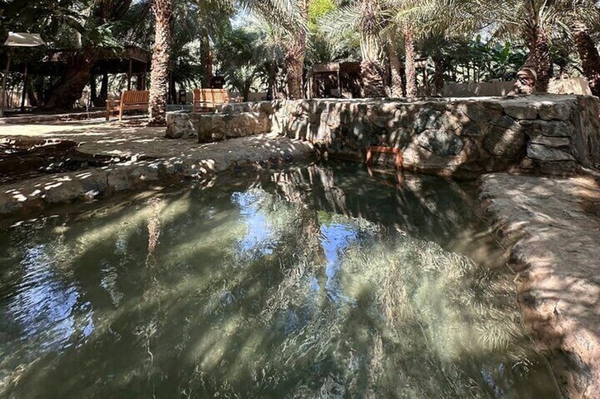 Private Full Day Hatta Visit Tour