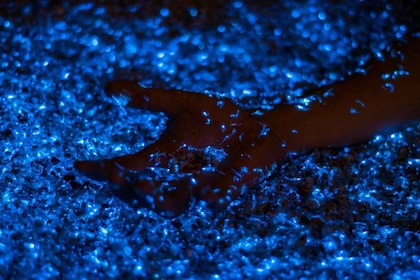 Phi Phi: tour privado en barco de plancton bioluminiscente al atardecer