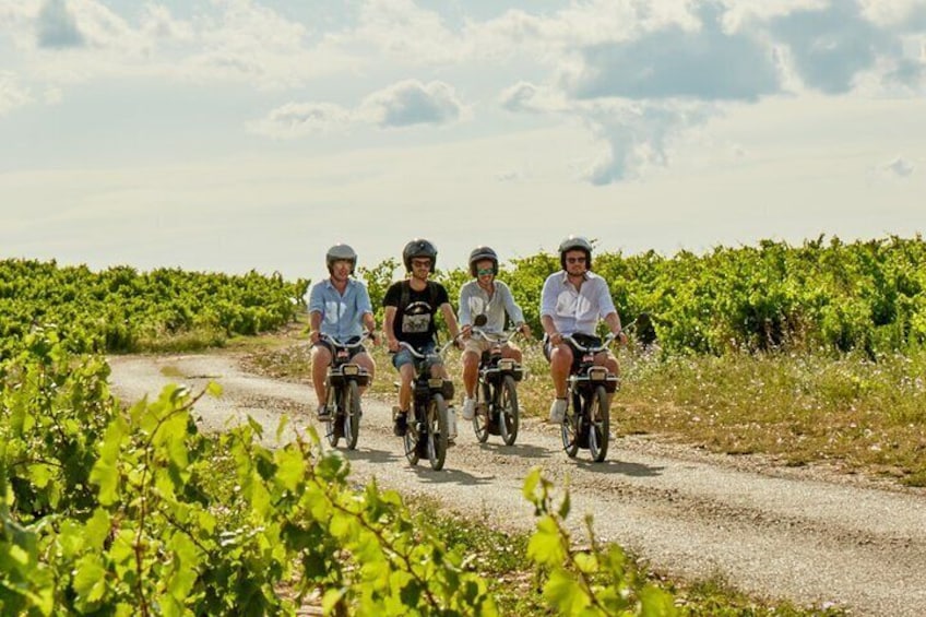 A Tour in Provence in a typical French motorized bike : the Solex