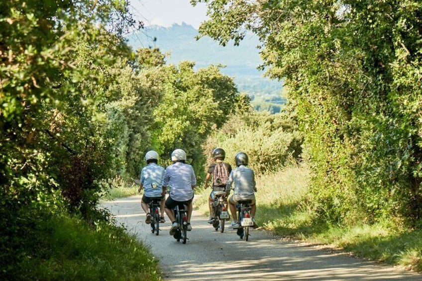 A Tour in Provence in a typical French motorized bike : the Solex