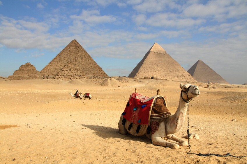 From Port Said Port: Giza Pyramid & Egyptian Museum