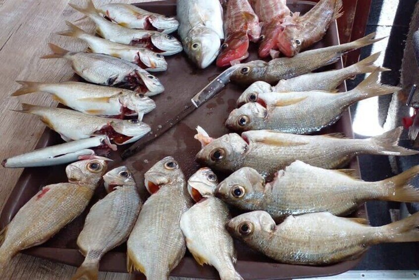 Boat Trip in Agadir Marina