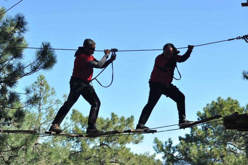 Picture 9 for Activity Mallorca: Forestal Park Family or Sport Course Adventure