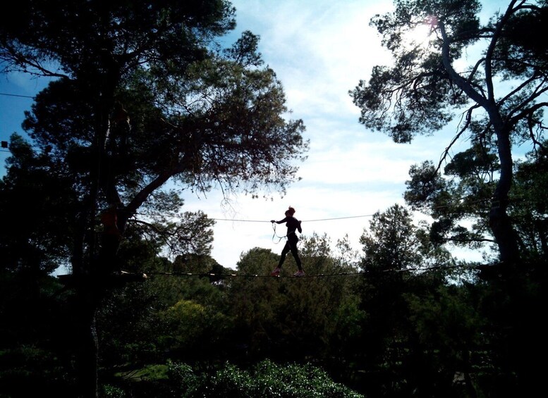 Picture 10 for Activity Palma: Family or Sports Course Adventure at Forestal Park