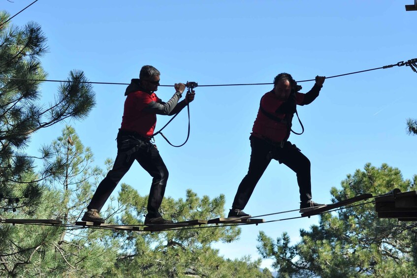 Picture 9 for Activity Palma: Family or Sports Course Adventure at Forestal Park