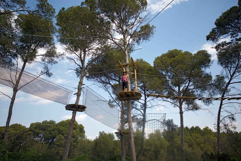 Picture 3 for Activity Palma: Family or Sports Course Adventure at Forestal Park