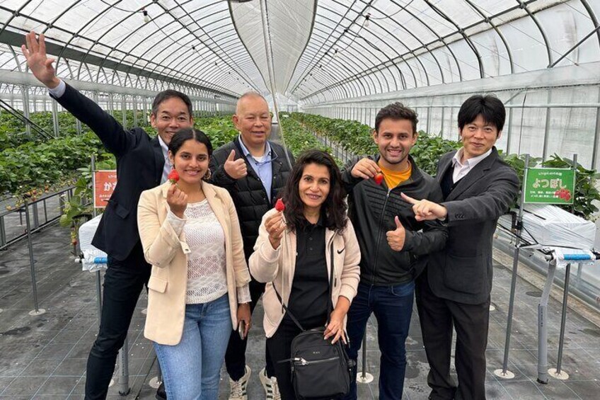 All You Can Eat Strawberry Picking in Izumisano Osaka 