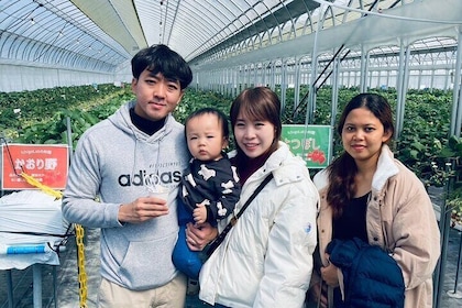 All You Can Eat Strawberry Picking in Izumisano Osaka