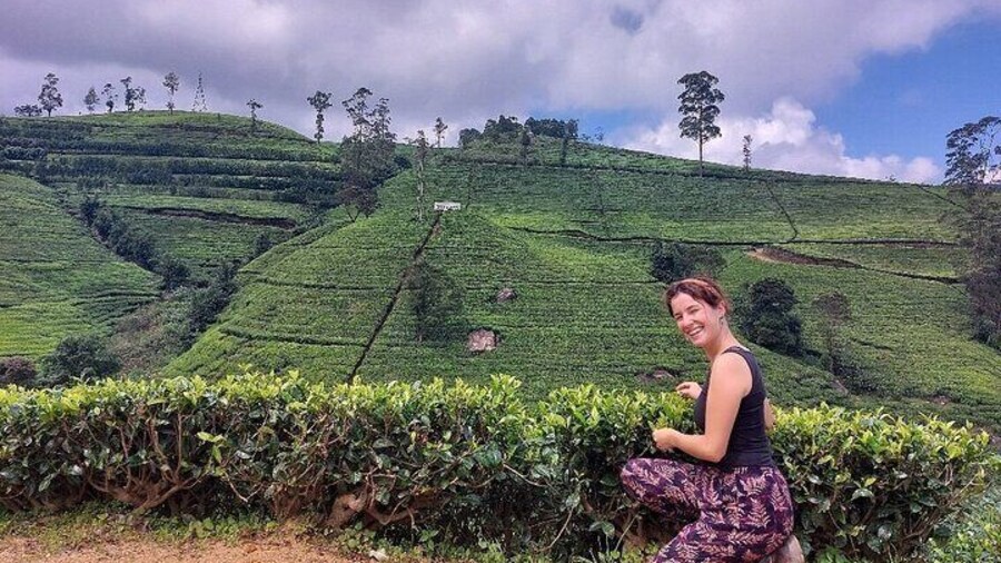 Private Nuwara Eliya City Tour Including Main Attractions