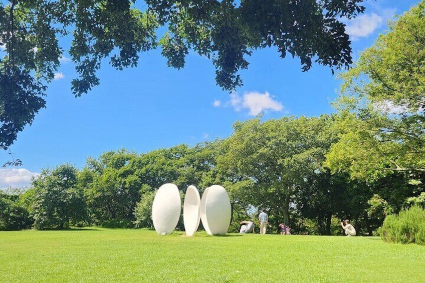 Jeju Art & Culture Tour: Bonte Museum- Tadao Ando, Arte Museum