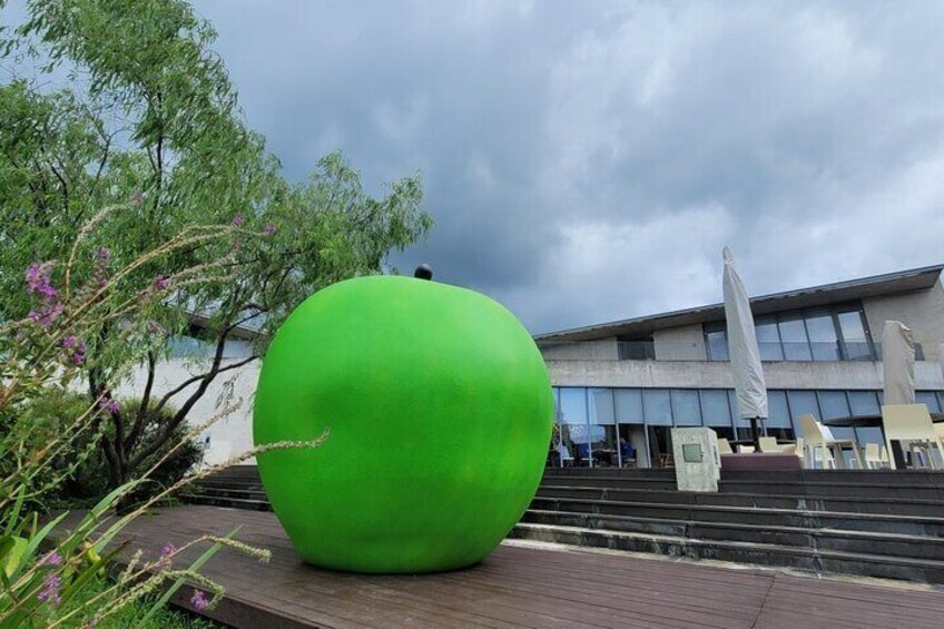 Jeju Art & Culture Tour: Bonte Museum- Tadao Ando, Arte Museum