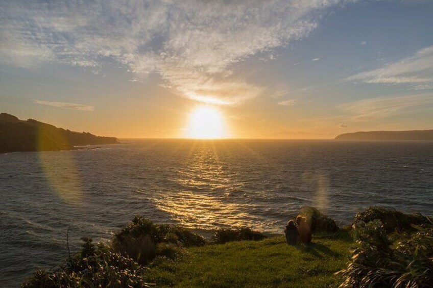 Kapiti Coast and Foxton Area Beaches Day Tour