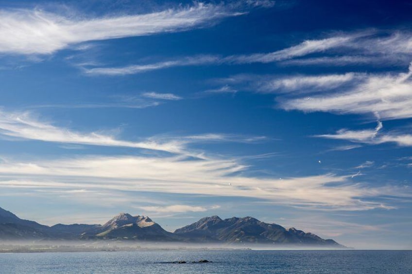 Kapiti Coast and Foxton Area Beaches Day Tour