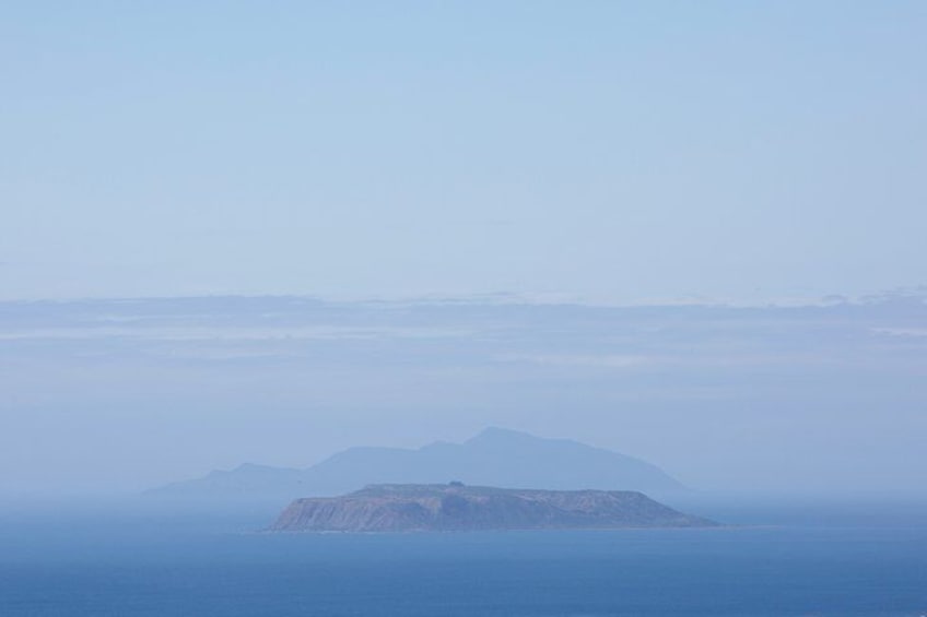 Kapiti Coast and Foxton Area Beaches Day Tour