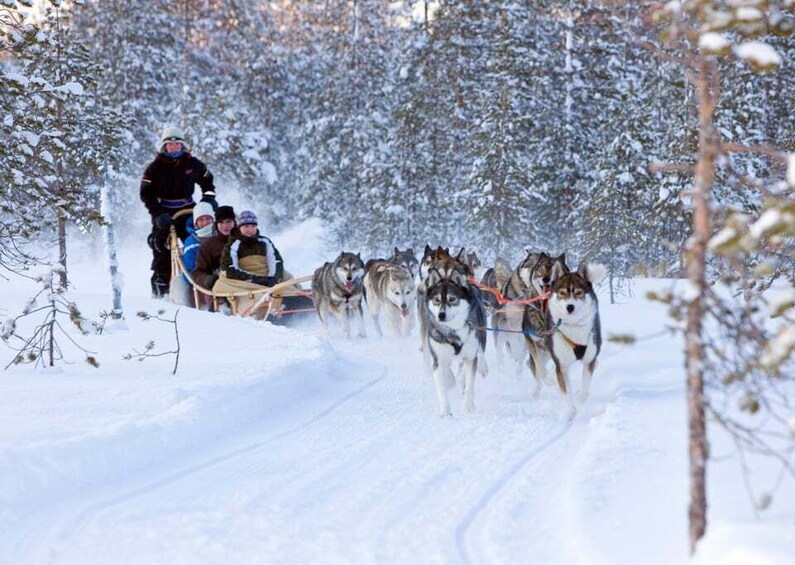 Picture 2 for Activity Levi: Winter Highlights Family Day with Snowmobile Safari