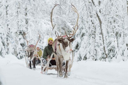 Levi: Winter Hoogtepunten Tour met sneeuwscooteren